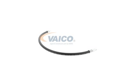 FURTUN FRANA VAICO V309926 42