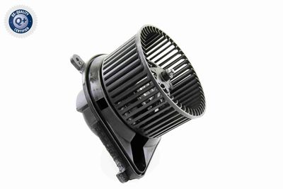 ANSAUGGEBLäSE INNENRAUMLUFT VEMO V30031731