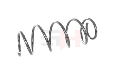 ARC SPIRAL GH GH204306 7