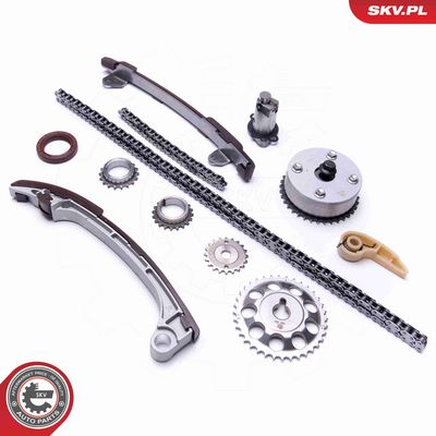 CHIT LANT DE DISTRIBUTIE ESEN SKV 21SKV197 1