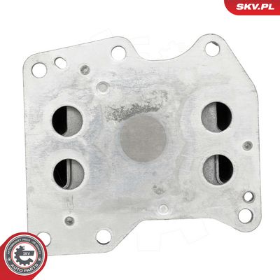 Olejový chladič, motorový olej SKV 31SKV383