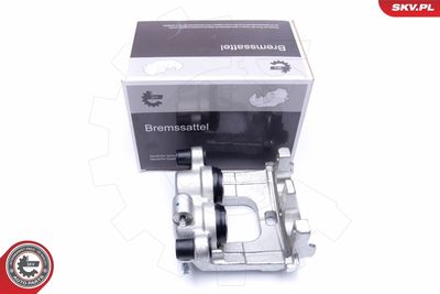 Brake Caliper 44SKV852