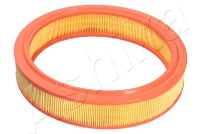 Air Filter FA-0234JM