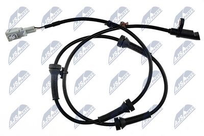 HCA-NS-017
