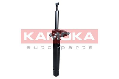 Shock Absorber 2000382