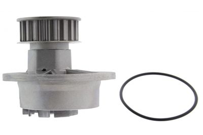 POMPă DE APă RăCIRE MOTOR MAPCO 21761 1