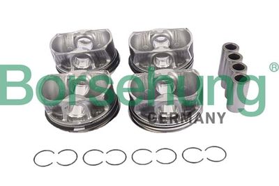 SET SEGMENTI PISTON Borsehung B11145