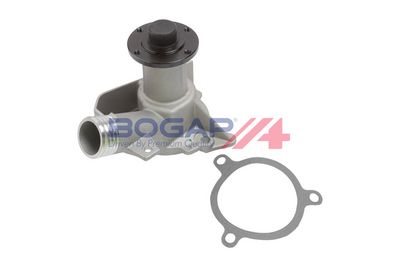POMPă DE APă RăCIRE MOTOR BOGAP B4234101 6