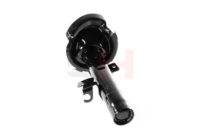 AMORTIZOR GH GH354850V 48