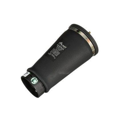 LUFTFEDER FAHRWERK Arnott A2202 61