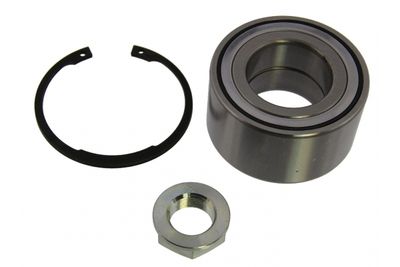 SET RULMENT ROATA MAPCO 26172 1