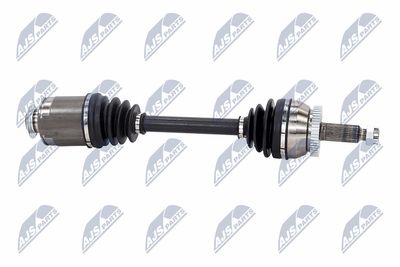 PLANETARA NTY NPWHY626 8