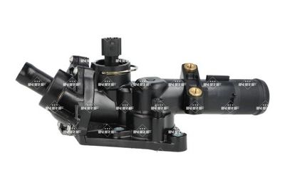 TERMOSTAT LICHID RACIRE NRF 725078 2