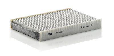Filter, Innenraumluft