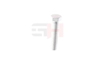 SURUB CAPAT DE AX GH GH392506 34