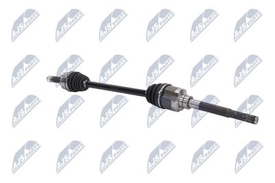 PLANETARA NTY NPWCH044 28