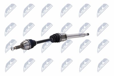 PLANETARA NTY NPWFR054 21