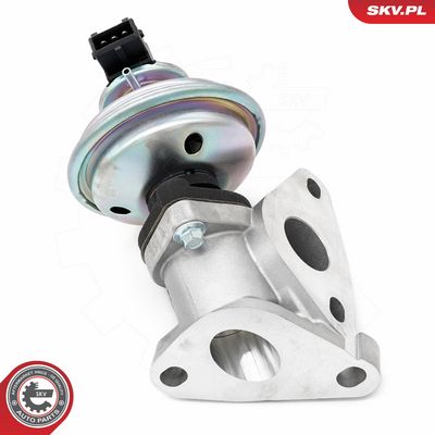 AGR-Ventil ESEN SKV 14SKV285