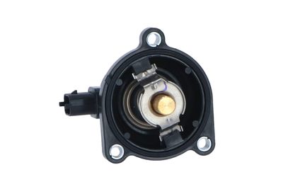TERMOSTAT LICHID RACIRE NRF 725024 45