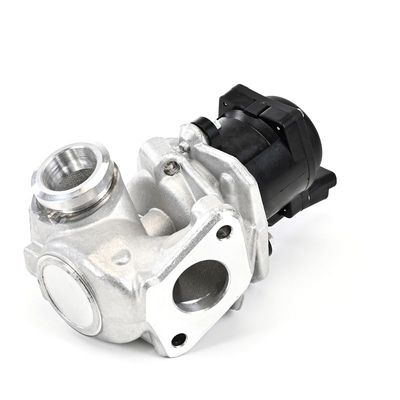 AGR-VENTIL DELPHI EG1040112B1 17