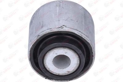 RULMENT DIFERENTIAL BIRTH 20002 1