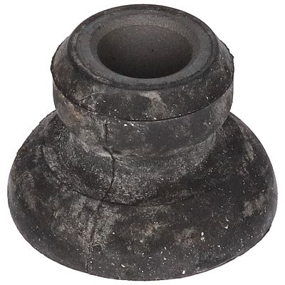 BUCSA ARBORE DE DIRECTIE