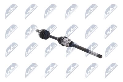 PLANETARA NTY NPWCT059 29