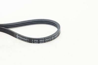 Courroie d'accessoires CONTINENTAL CTAM — 592mm