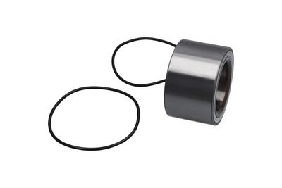 SET RULMENT ROATA Kavo Parts WBK10049 1