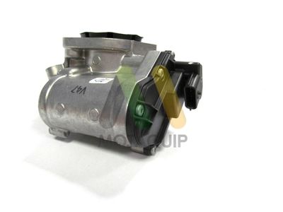 SUPAPA EGR MOTAQUIP LVER169 1