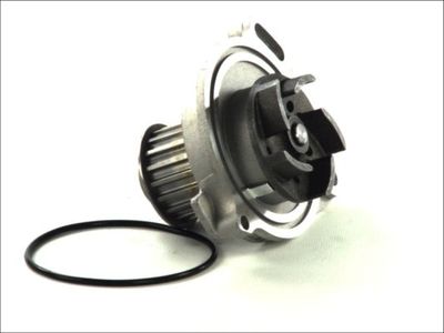 Water Pump, engine cooling D1W016TT