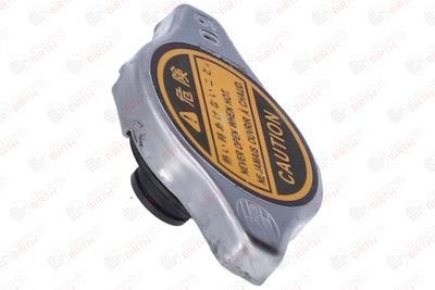 BUSON RADIATOR BIRTH 8069 10