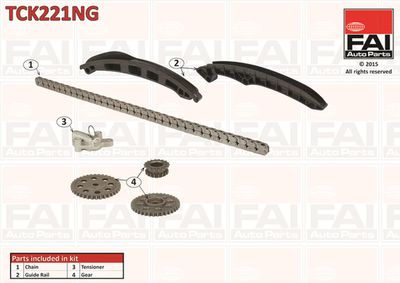 Timing Chain Kit TCK221NG