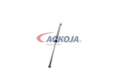 AMORTIZOR PORTBAGAJ ACKOJA A520063 26