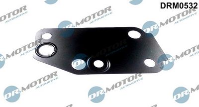 DICHTUNG WASSERPUMPE