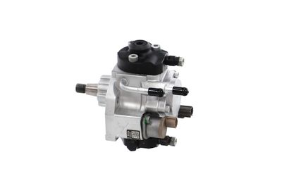 POMPA DE INALTA PRESIUNE REMANTE 002002000409R 17