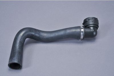 FURTUN RADIATOR AUTOMEGA 210167310 1