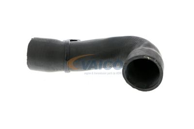 FURTUN EAR SUPRAALIMENTARE VAICO V103829 12