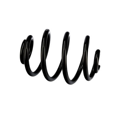 ARC SPIRAL EIBACH R10173 8