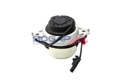 BOGAP Variklio montavimas
