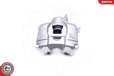 Brake Caliper 45SKV461