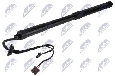 Dujinė spyruoklė, bagažinė