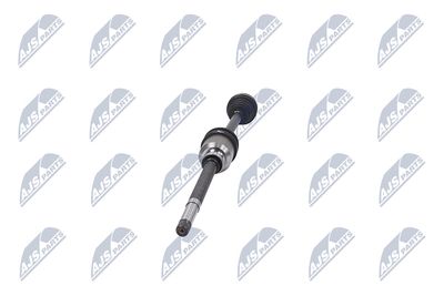 PLANETARA NTY NPWCT009 34