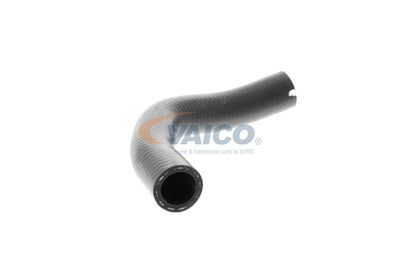 FURTUN EAR SUPRAALIMENTARE VAICO V240728 50