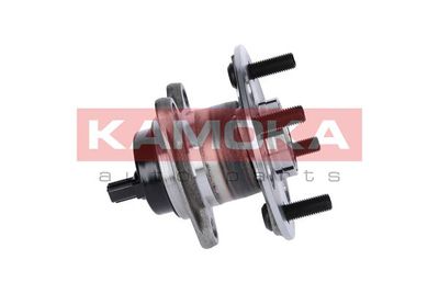 Wheel Bearing Kit 5500089