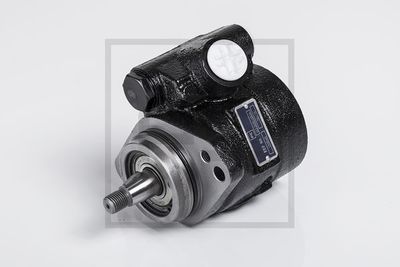 Pump, styrservo PE AUTOMOTIVE 122.505-00A