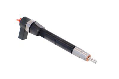 INJECTOR REMANTE 002003001108R 47