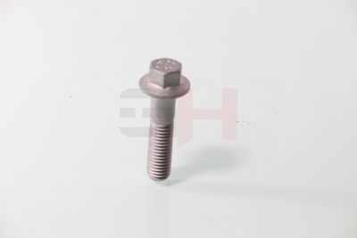 SURUB CAPAT DE AX GH GH392549 16