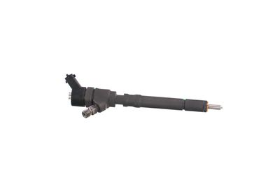 INJECTOR REMANTE 002003000020R 46