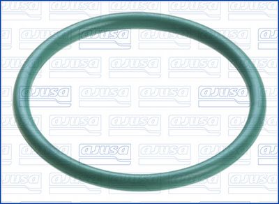 GARNITURA CONDUCTA LICHID DE RACIRE